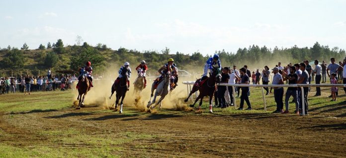 TAŞKÖPRÜ'DE DÜZENLENEN AT YARIŞLARI NEFESLERİ KESTİ