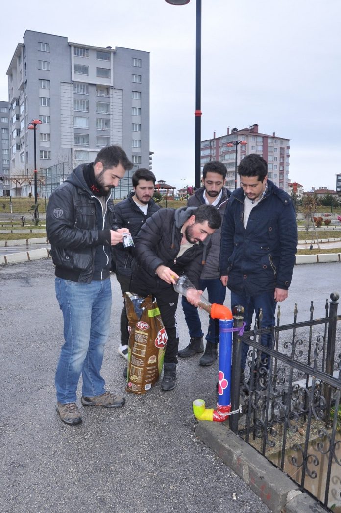 Üniversite öğrencilerinden sokak hayvanı duyarlılığı