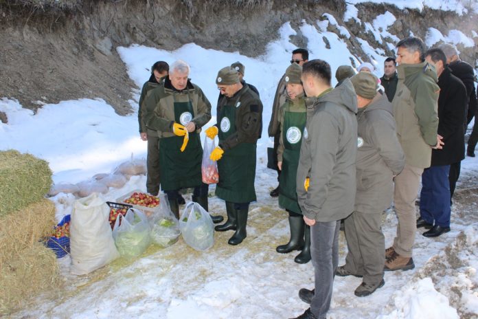 Ilgaz Dağı'nda yaban hayvanları için yemleme yapıldı