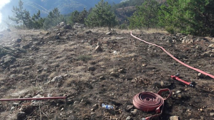 Kastamonu'da orman yangını