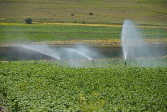 Kastamonu'da sulu tarımla ekonomiye 290 milyon liradan fazla katkı sağlanacak