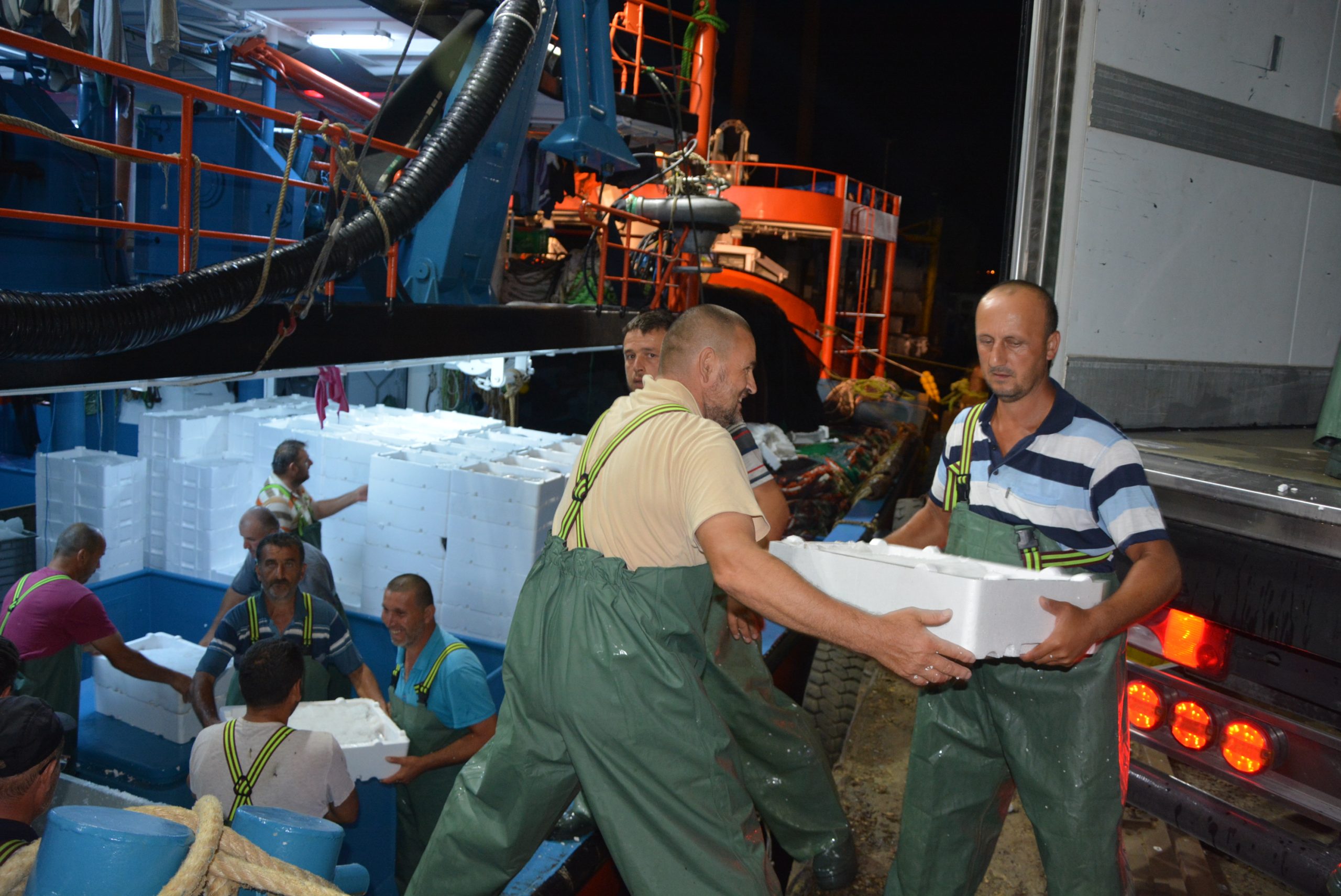 İnebolu limanında  palamut bayramı