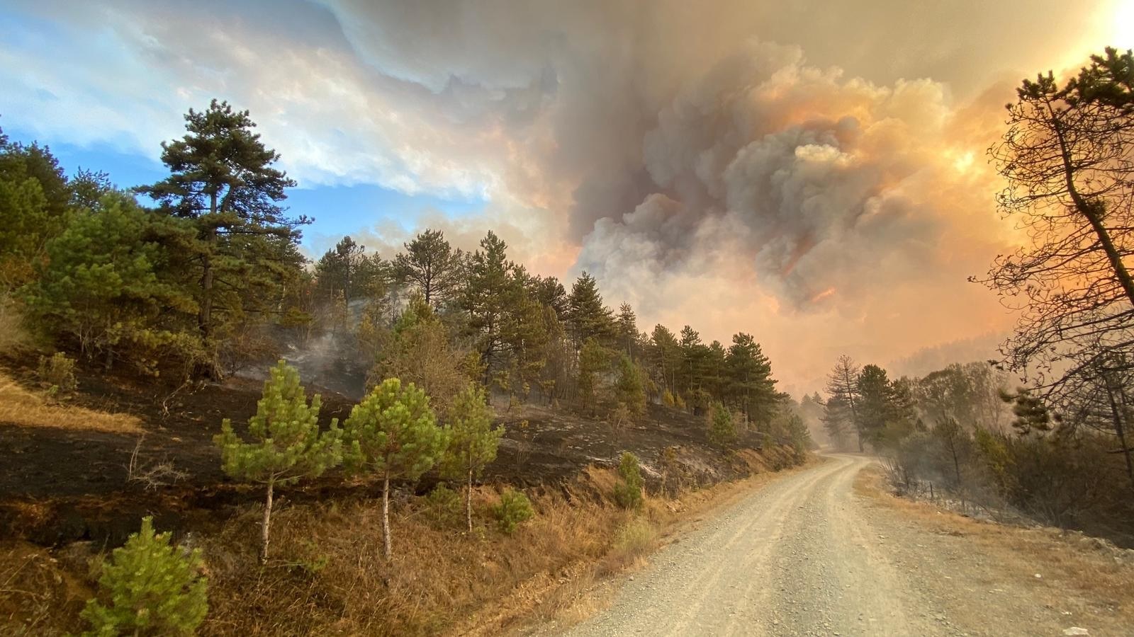 Ciğerlerimiz yandı, yüreklerimiz dağlandı