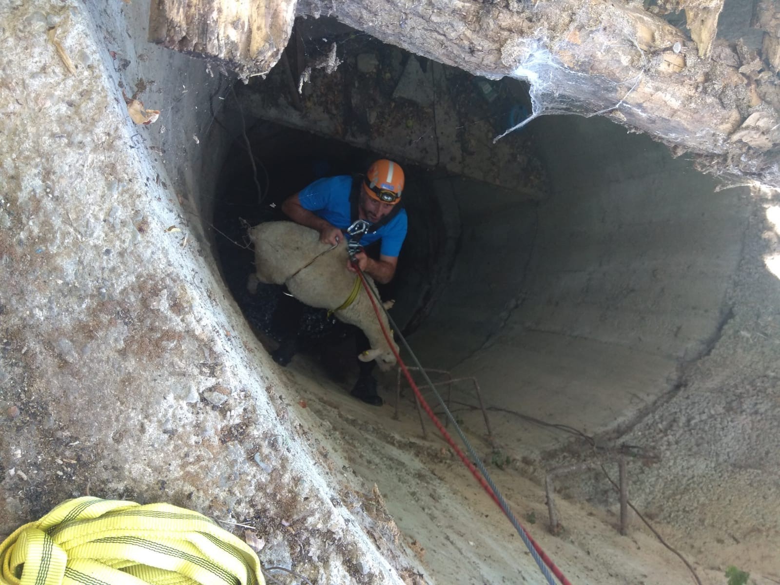 Kuyudan koyun kurtarma!