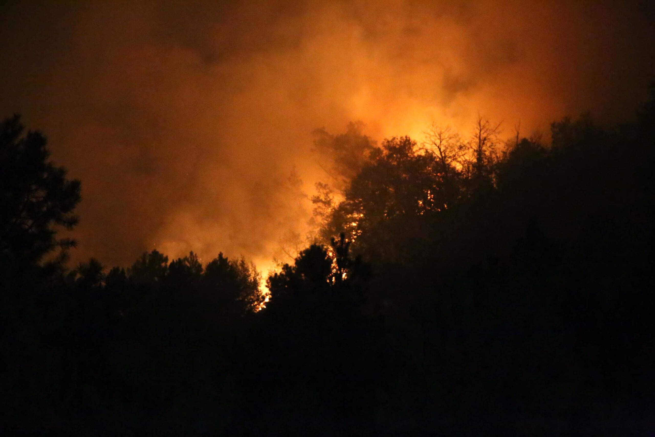 12 saatte  kontrol  altına alındı