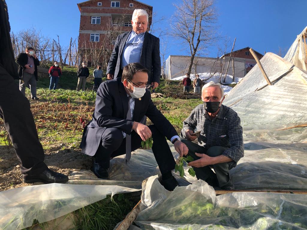 “Yaralar devlet tarafından sarılmalı”