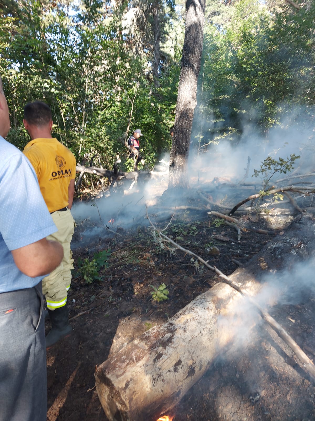 Seydiler ve Taşköprü’de orman yangınları