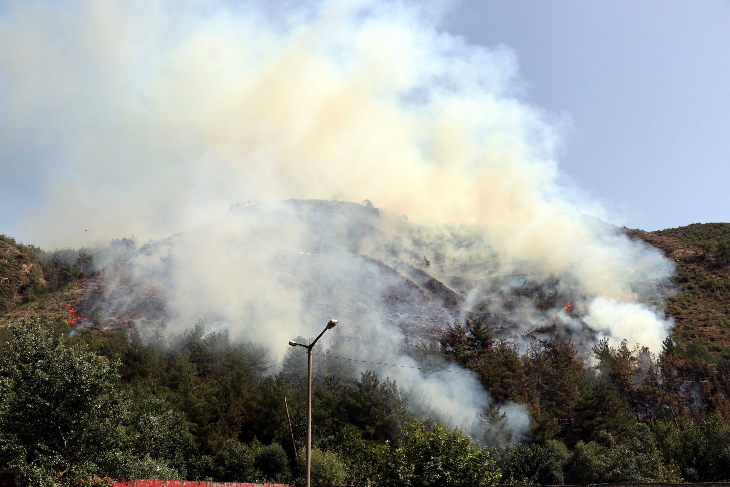 Karabük’te orman yangını