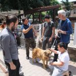 İstiklal Yolu yürüyüşüne katılanlarla 95 kilometre kateden hamile köpeği İnebolulular sahiplendi