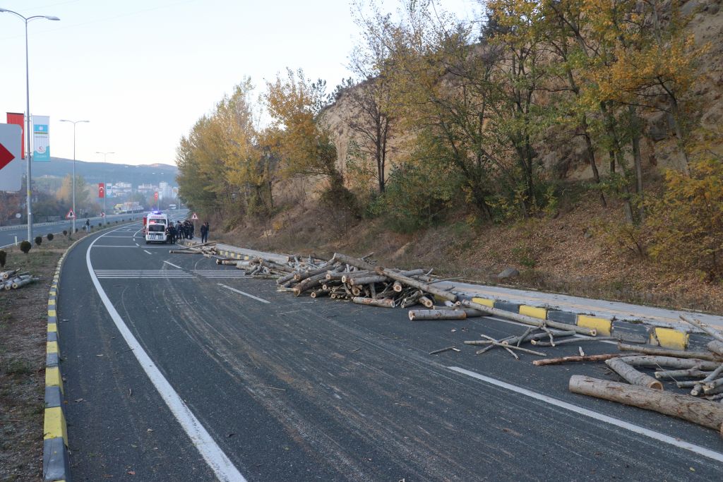 Devrilen römorktaki tomruklar yola saçıldı
