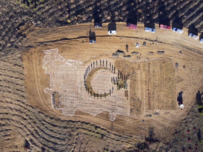 40 bin fidanla Türkiye haritası ve Türk bayrağı