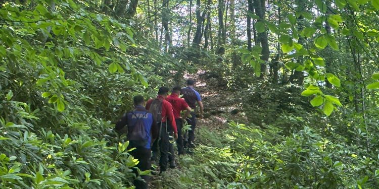 Kayıp bekçi aranıyor