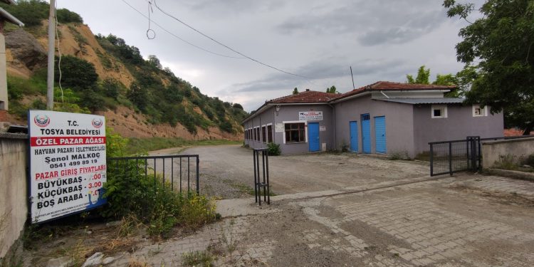 Tosya canlı hayvan pazarı kapatıldı