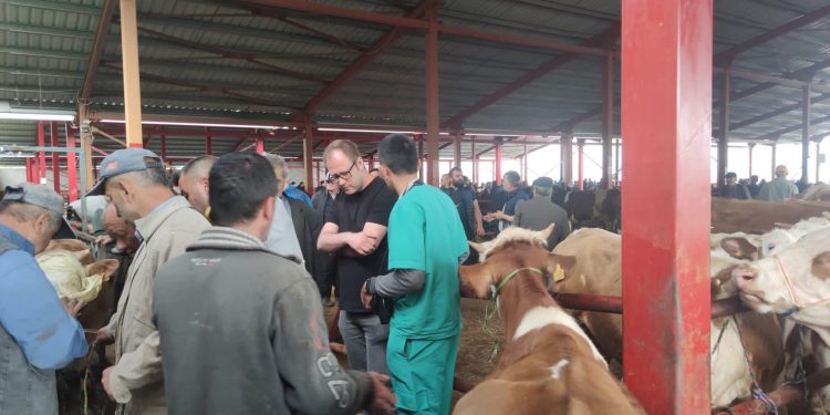 Bayram öncesi denetim