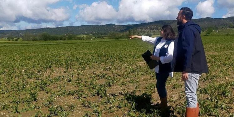 Selin vurduğu alanlarda hasar tespit çalışmaları sürüyor