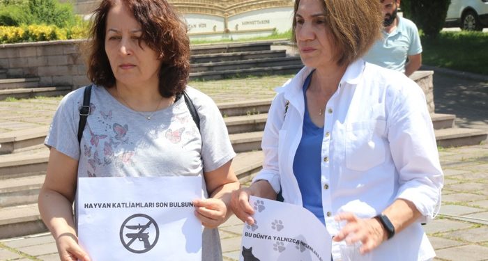 Tüfekle kedi öldüren şahsa tepki