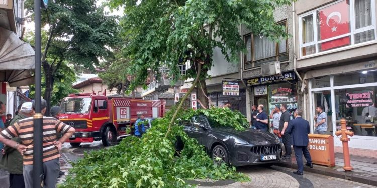 Şiddetli rüzgarda kırılan ağaç dalı, lüks otomobilin üzerine düştü