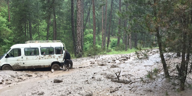 Tosya’da yağış etkili oldu