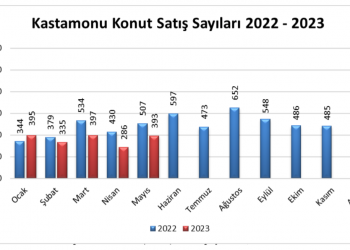 Konut satışlarında % 22.5 düşüş