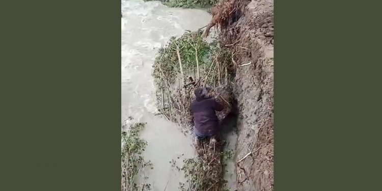 Barajı tıkayan ağaçları temizlediler