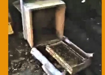 Kocaoğlan açlıktan kovan parçaladı