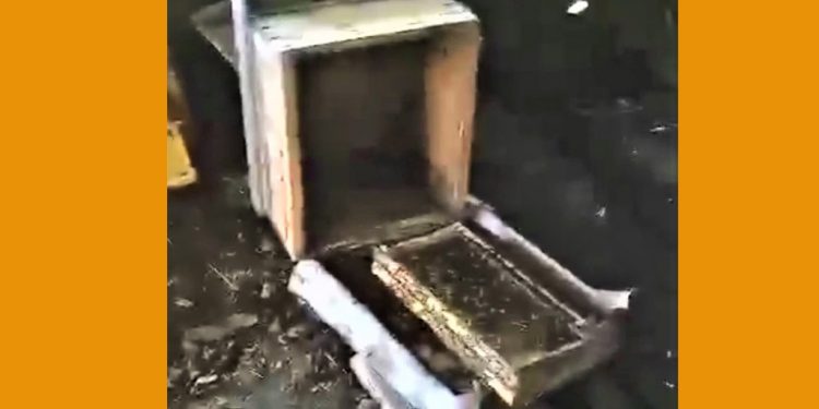 Kocaoğlan açlıktan kovan parçaladı