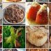 Gastronomi turizminde Ege ve Karadeniz’e ilgi arttı