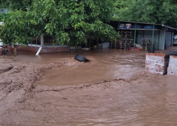Cide’nin 3 mahallesinde evleri su bastı… Bartın karayolu kapandı