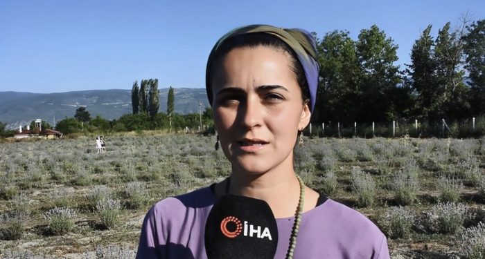 Ressamlığı bırakan kadın girişimci, lavanta üreticisi oldu