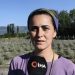Ressamlığı bırakan kadın girişimci, lavanta üreticisi oldu
