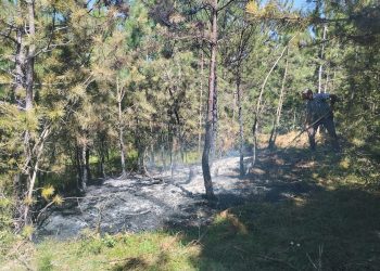 Taşköprü ve Tosya’da çıkan orman yangınları büyümeden söndürüldü