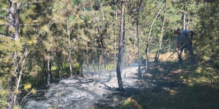 Taşköprü ve Tosya’da çıkan orman yangınları büyümeden söndürüldü