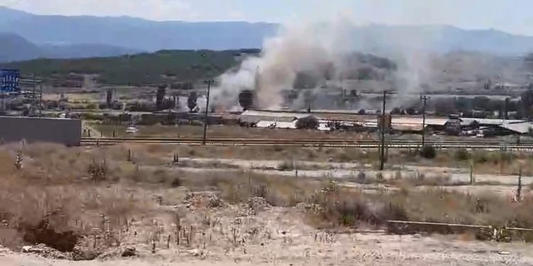 Tosya’da tarla yangını