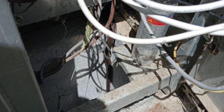 Trafoya giren yılan, 6 köyü elektriksiz bıraktı