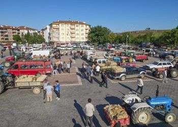 Taşköprü Sarımsak Pazarında sezon açıldı