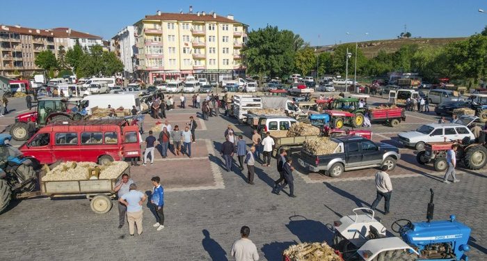 Taşköprü Sarımsak Pazarında sezon açıldı