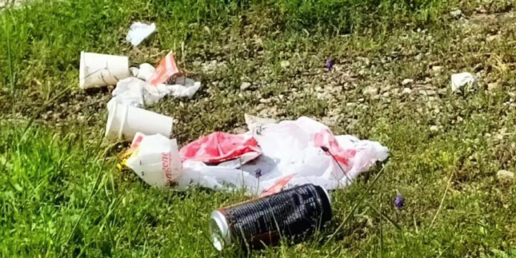 Ormanı çöplüğe çevirenlere köylülerden tepki