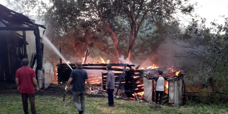 Fırtına ağacı kökünden söktü