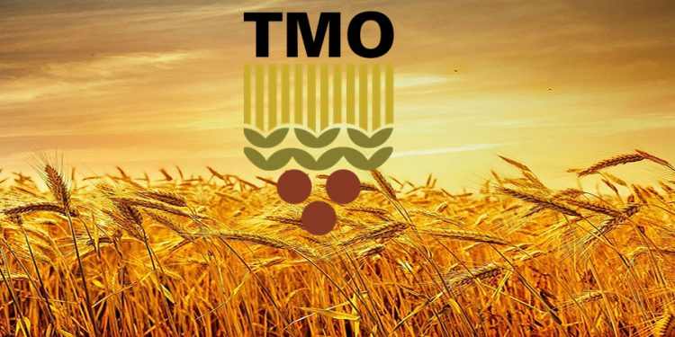 TMO Kastamonu’da 10 bin tonun üzerinde hububat alacak