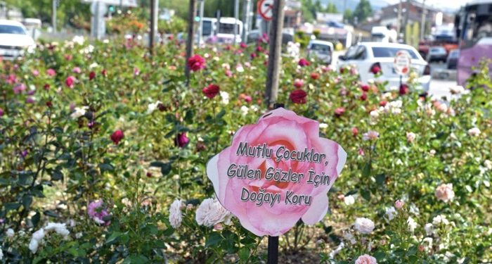 Belediyeden çevre uyarısı!