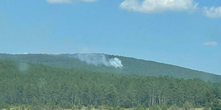 Daday’da orman yangını