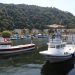 Abana balıkçı barınağında denize girmek yasaklandı