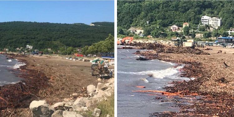 Cide Belediyesi temizlik mesaisinde
