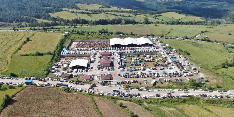 Canlı hayvan pazarı kapatıldı