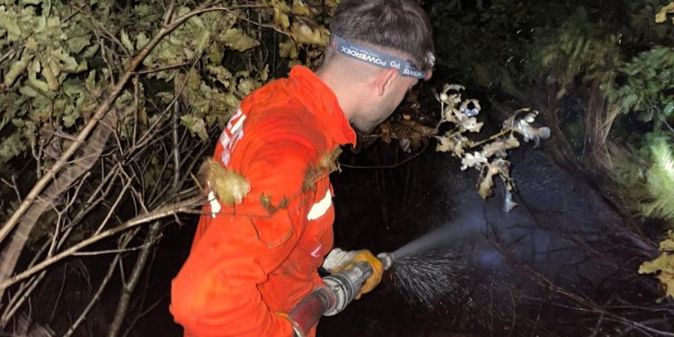 Bozkurt’taki orman yangını söndürüldü
