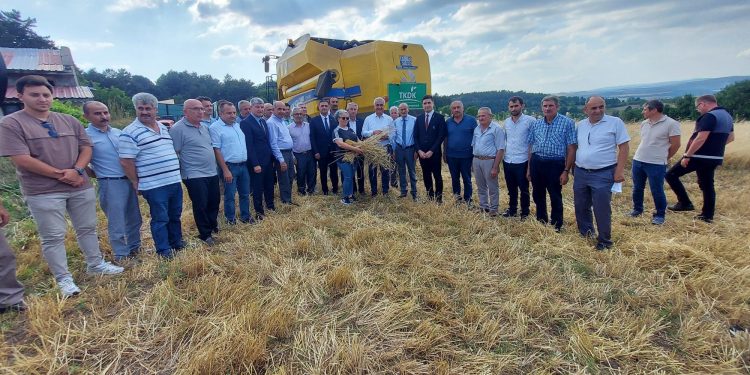 10 bin 350 ton siyez buğdayının hasadı yapıldı