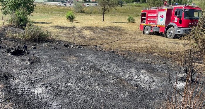 İhsangazi’de anız yangını