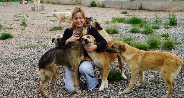 Engelli hayvanlar için bakımevi kurdu