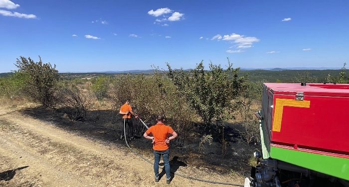 Orman yangını büyümeden söndürüldü