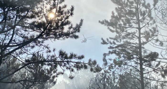 Eymür köyünde orman yangını